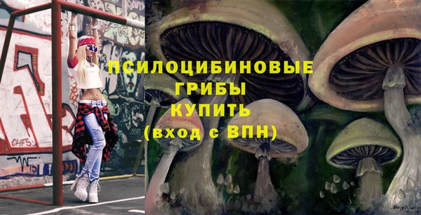 хмурый Волоколамск