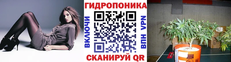 МАРИХУАНА OG Kush  Ивантеевка 
